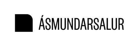 Ásmundarsalur 2027 Exhibition Open Call